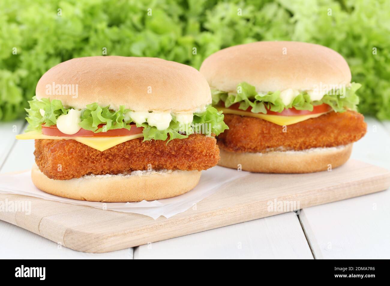 Fischburger Fisch Burger Backfisch Hamburger frische Käse Tomaten Salat ...