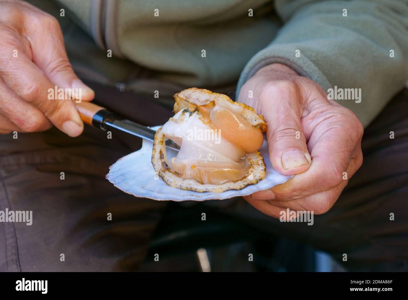 A barbecued scallop being shucked from its shell in Tokyo, Japan Stock Photo