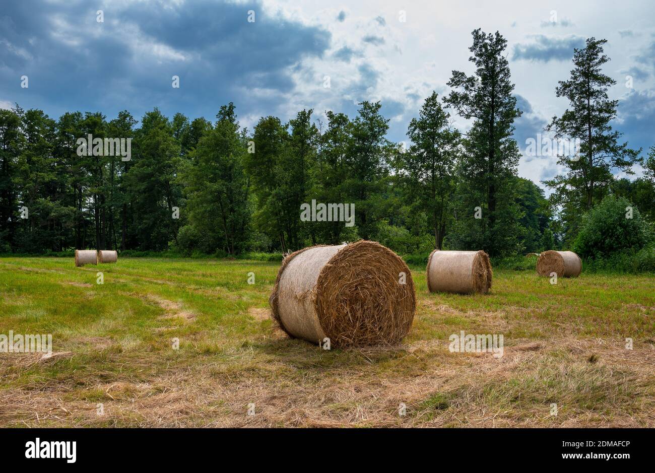 Agriculture In Germany Stock Photo Alamy