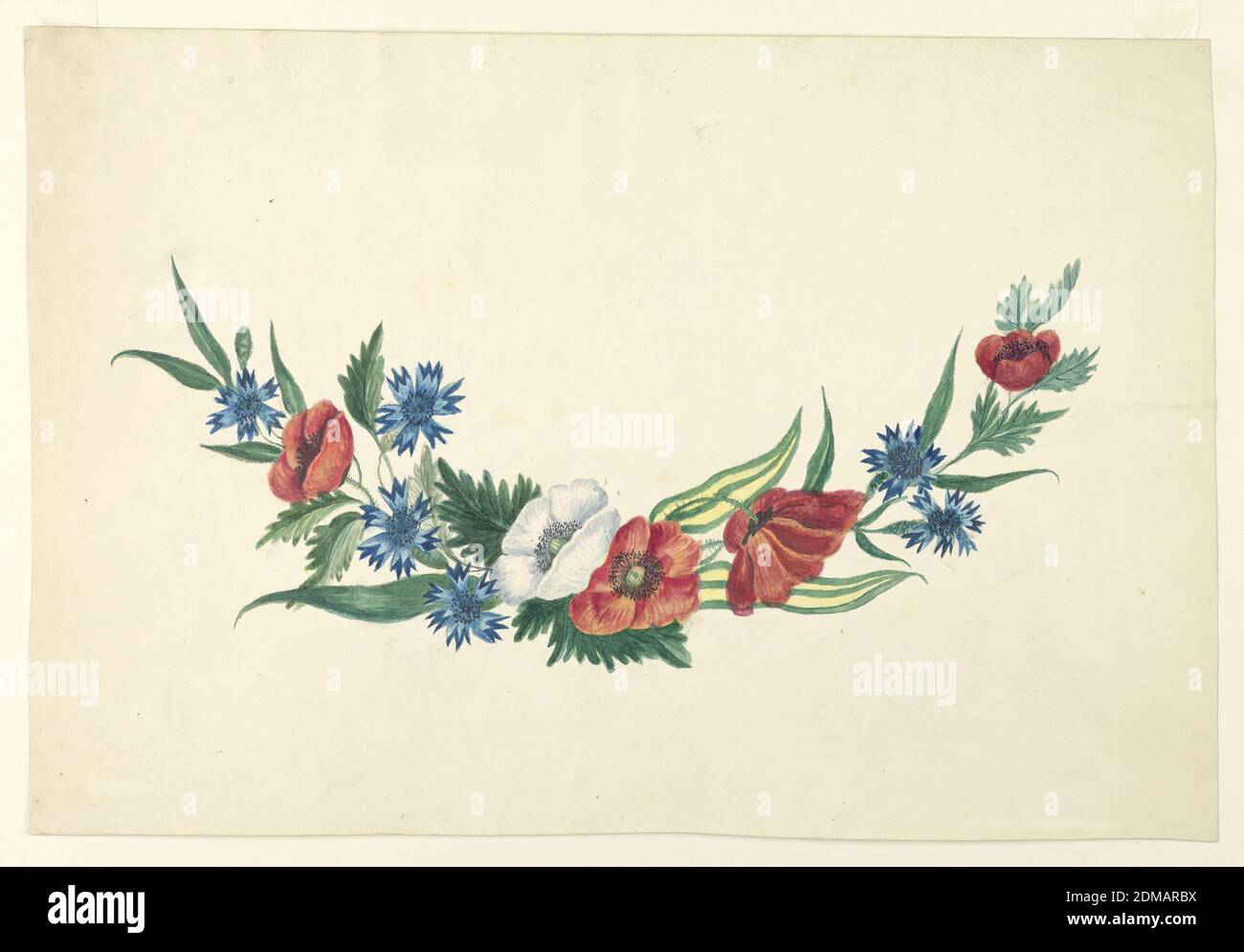 Segment of a Floral Wreath, Brush and watercolor on paper, Segment of a wreath of poppies and blue cornflowers., England, ca. 1802, Drawing Stock Photo