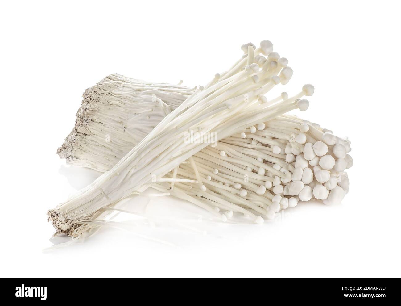 Enokitake Mushroom Enoki Mushroom Golden Needle Mushroom Isolated On White Background Stock Photo Alamy Enokitake Mushroom Enoki Mushroom Golden Needle Mushroom Isolated On White Background Stock Photo Alamy