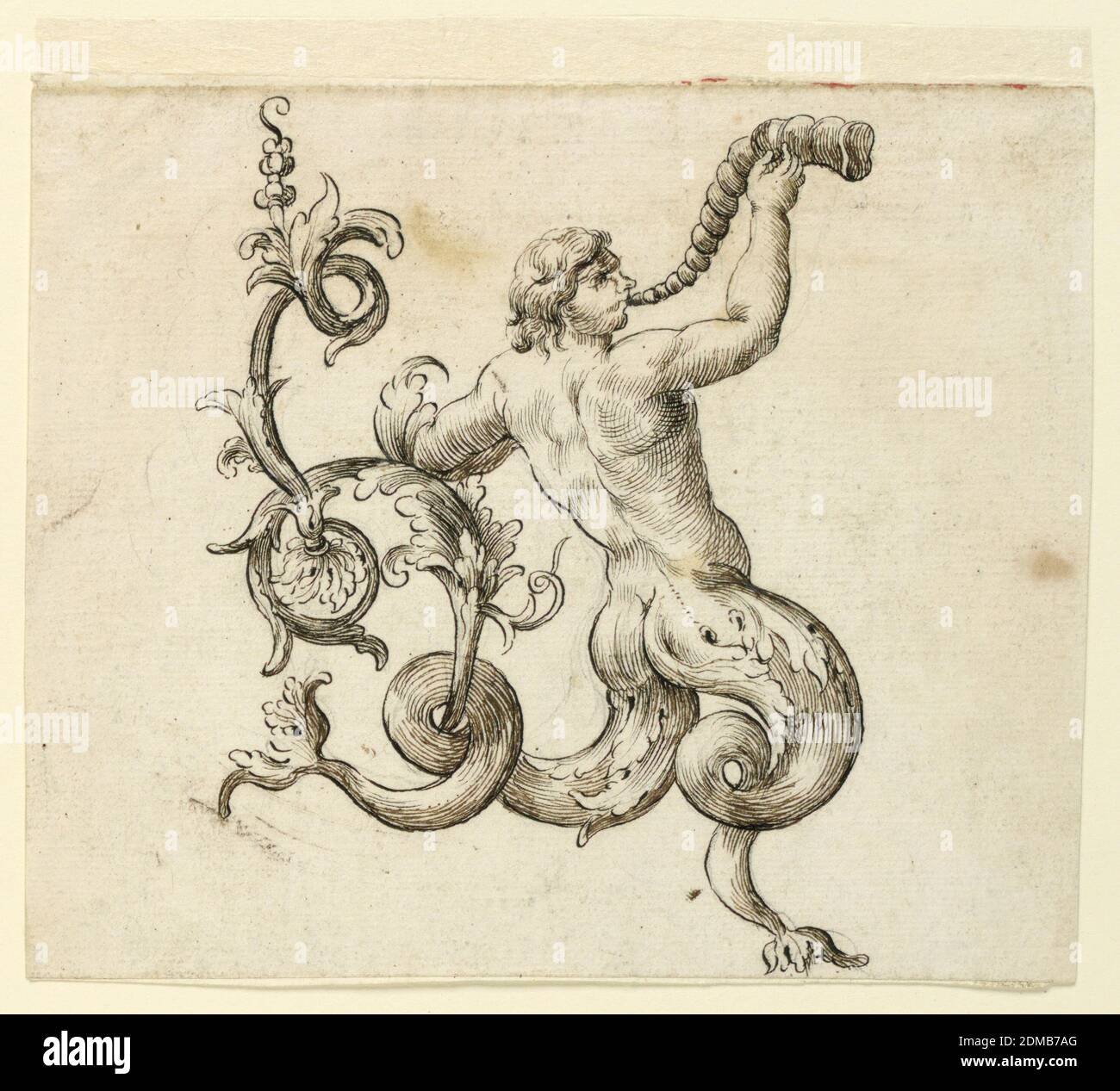 Project Fragment of an Ornament, Black chalk, pen, and ink on cream laid paper, A merman blows a horn. His fish tails twists into flowering scrolls of acanthus., Italy, 1625–50, grotesques, Drawing Stock Photo
