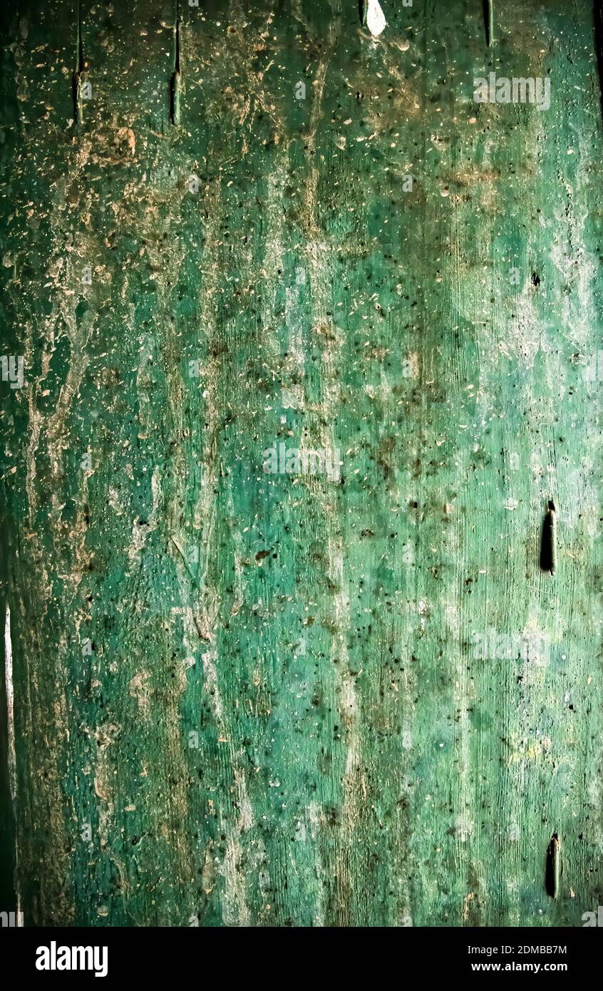 Old painted wood from abandoned ranch with a nail peeling paint covered in bird droppings.  Rough historic texture for background. Stock Photo