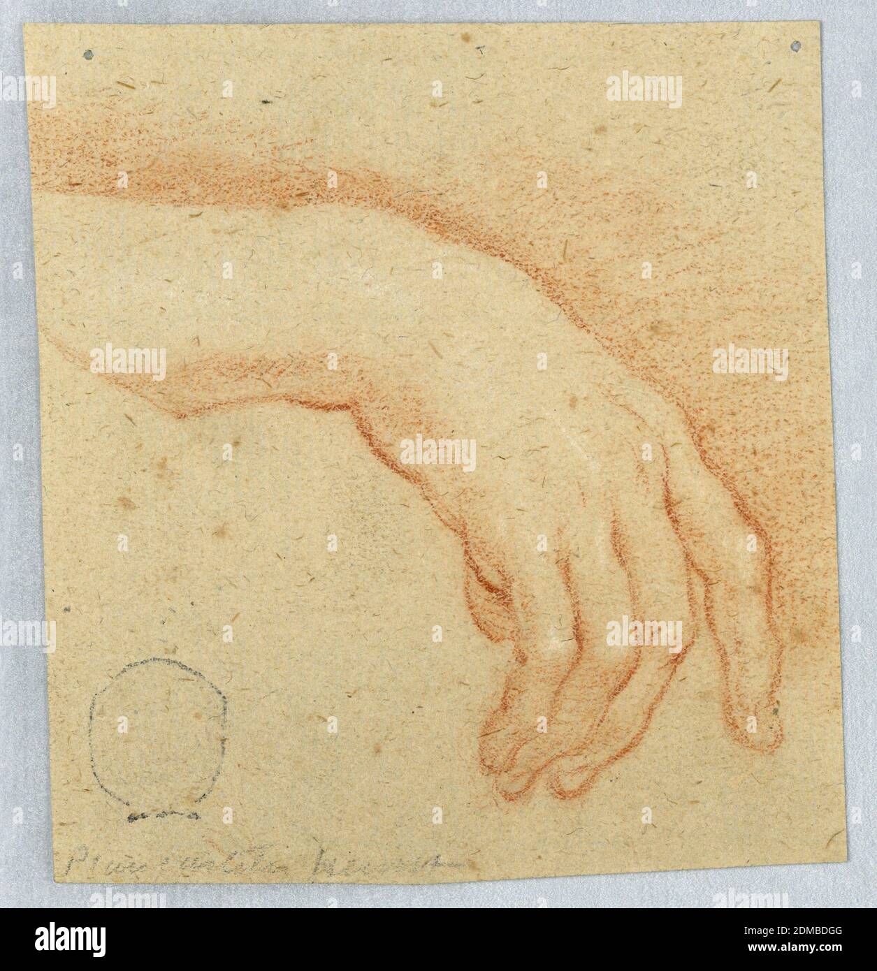 Study of a Right Hand, Red and white crayon on fibrous light brown paper,  Vertical rectangle; study of a relaxed hand, hanging down, with the  forefinger slightly extended., Italy, early 18th century,