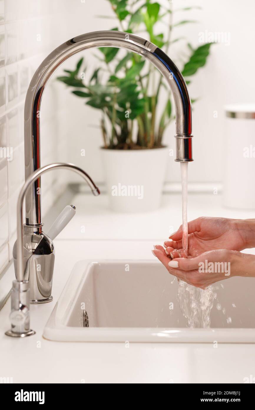 Woman washing and cleaning her hands under flowing tap water in the sink kitchen, soft focus, potted plant on background. Hygiene procedures before cooking or eating. Stock Photo