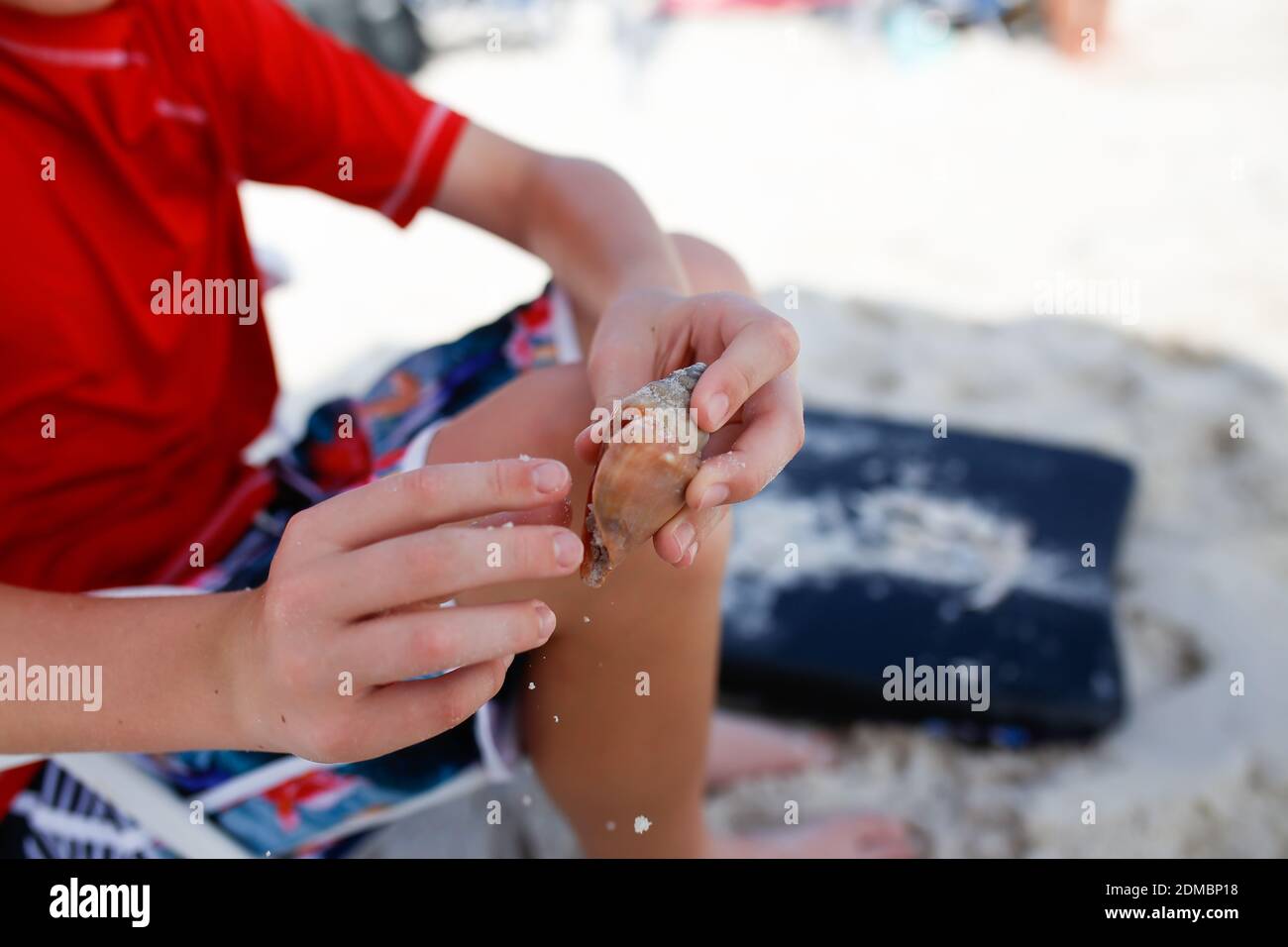 Midsection Of Man Shell At Beach Stock Photo
