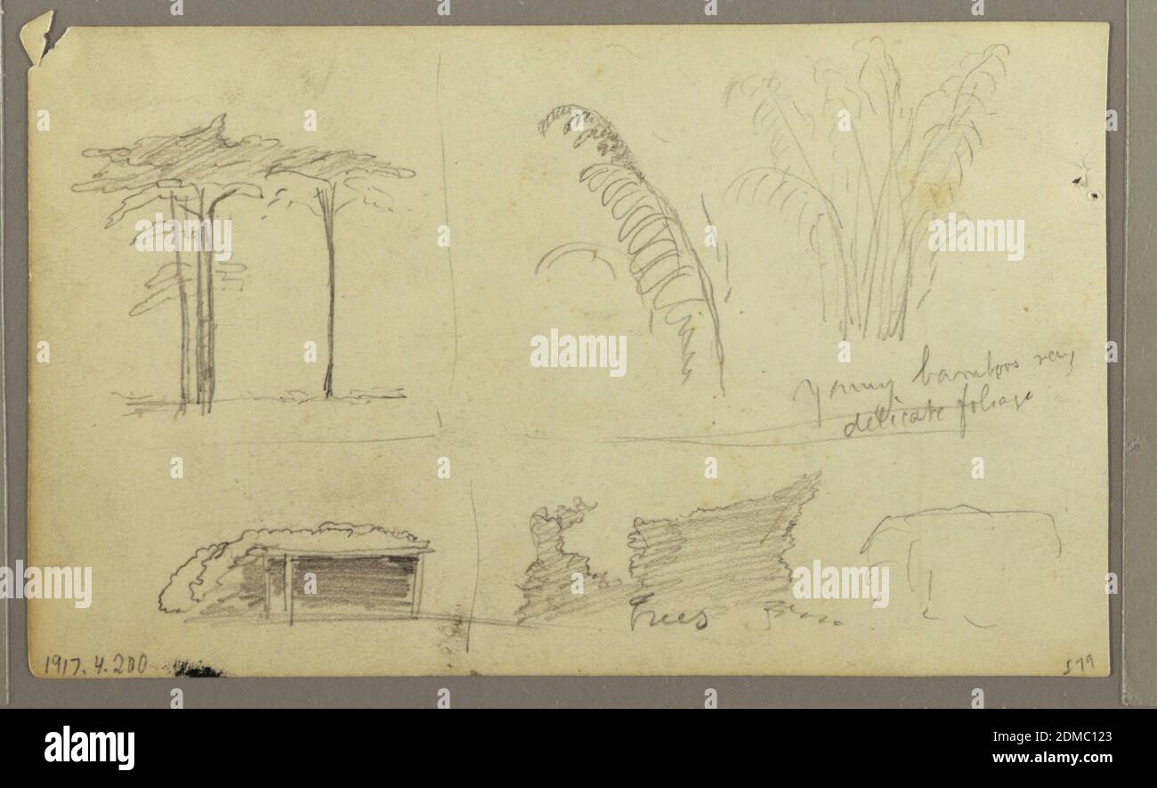 Views of the East Bank of the Guayas River, opposite Guayaquil, Ecuador, Frederic Edwin Church, American, 1826–1900, Graphite on paper, Recto: Horizontal broad view of a river bank with bushes, trees, and a house, and a sketch of the upper part of a walking man shown from the back at top, and a view of a similar river bank seen leading into the background at bottom right., Verso: Horizontal view of a group of trees, branches of bamboos on top row, and a vine hanging from a scaffold on bottom row, with lines separating the four motifs., May 1857, nature studies, Drawing Stock Photo