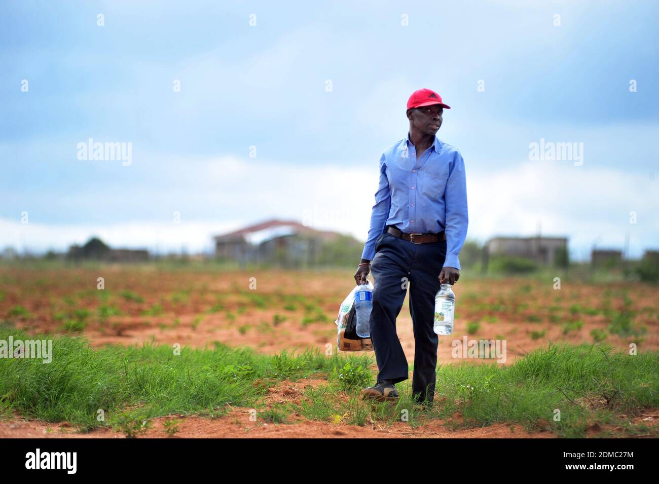 Subsistence farmers in South Africa's rural areas like Limpopo work the land during the rainy season to feed their families. Stock Photo