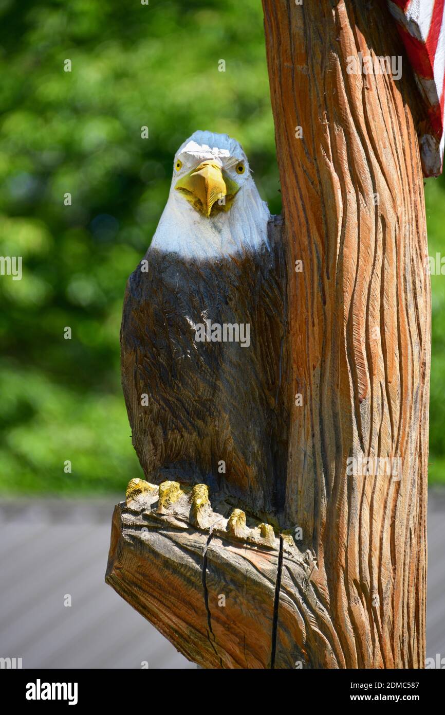 Public art. Eagle carved from a tree trunk at the Kentucky Down Under
