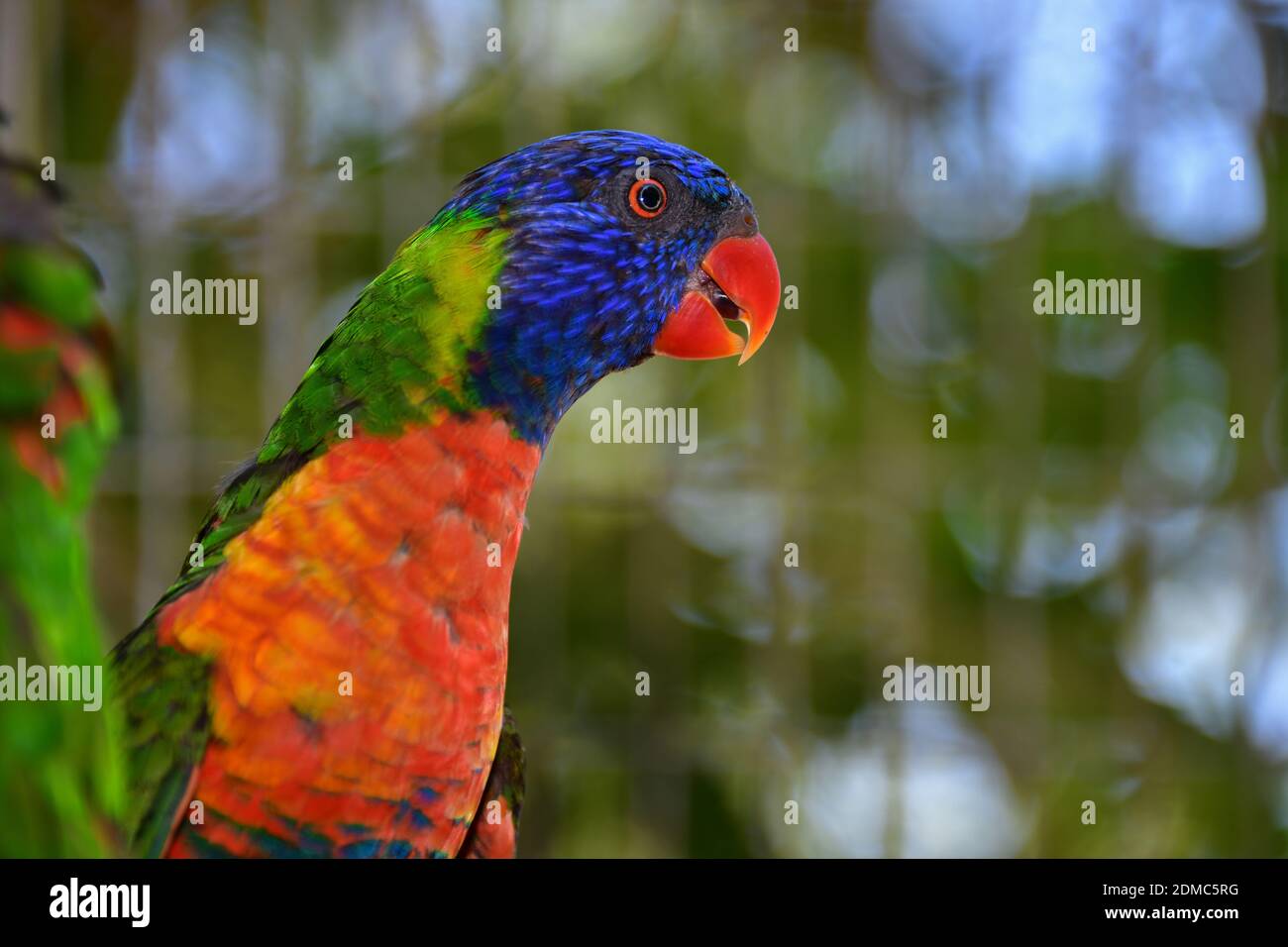 Kentucky Down Under Adventure Zoo located in Horse Cave, KY USA. July