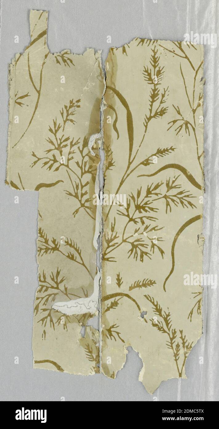 Sidewall - fragment, Machine-printed, Metallic gold grains on gray ground, possibly USA, 1875–85, Wallcoverings, Sidewall - fragment Stock Photo
