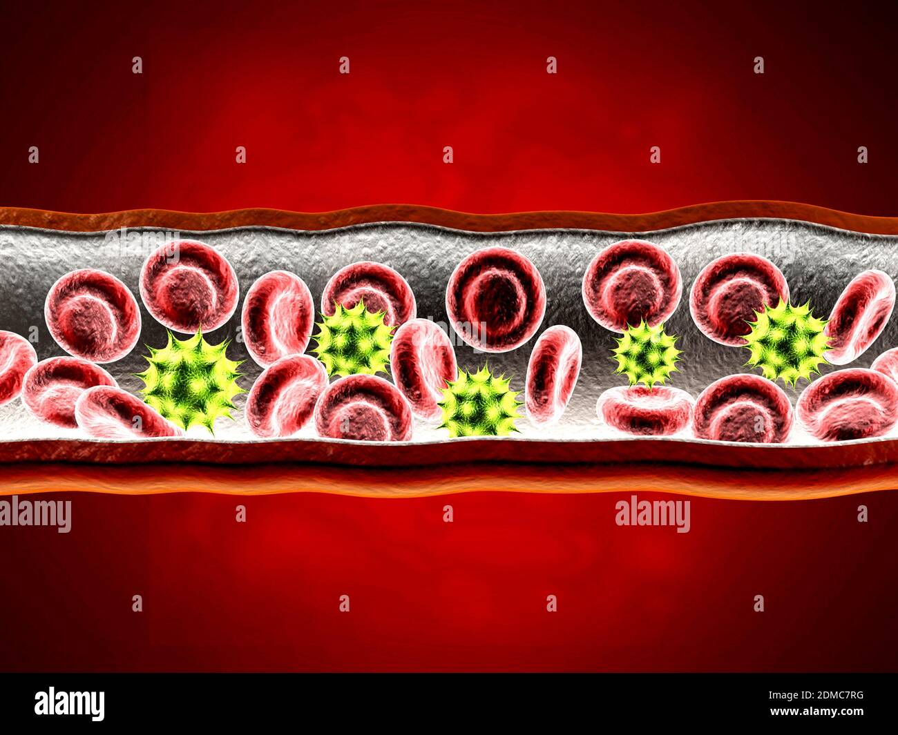 Digitally Generated Image Of Bacteria And Blood Vessels Stock Photo