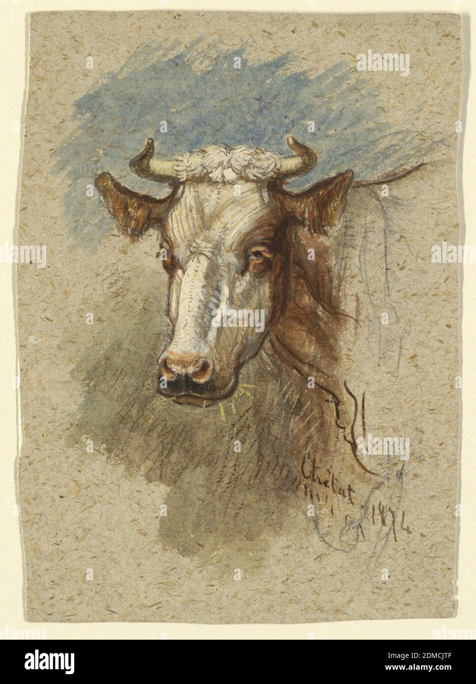Head of a Cow, Étretat, Samuel Colman, American, 1832–1920, Brush and watercolor, gouache, graphite on rough brown-grey paper, Head and neck of a standing cow or ox. The head turned toward the viewer. Verso: Three details of a head of a cow, in graphite., Étretat, Normandy, France, 1874, animals, Drawing Stock Photo