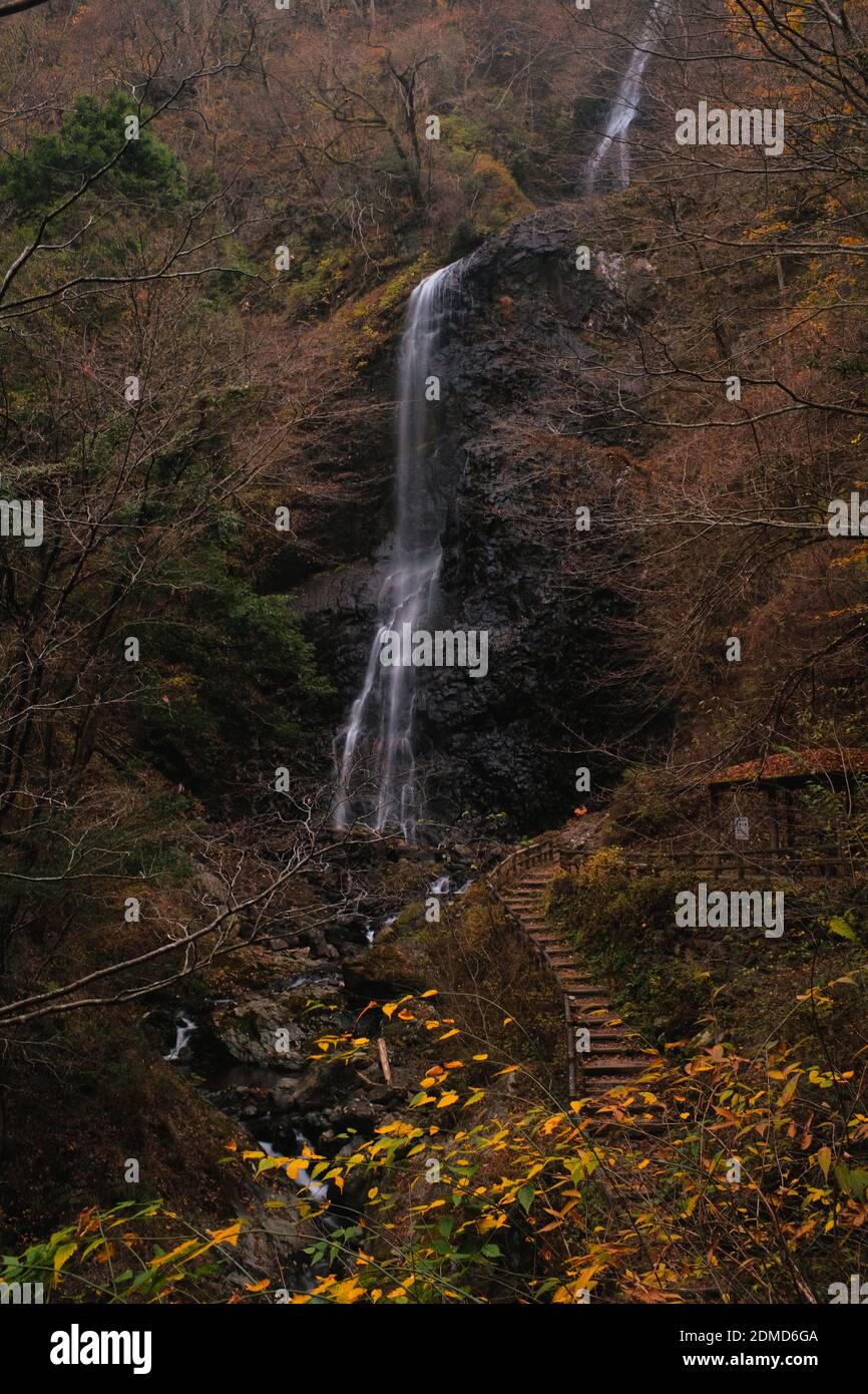 A vertical shot of a waterfall next to staircase in forest Stock Photo ...