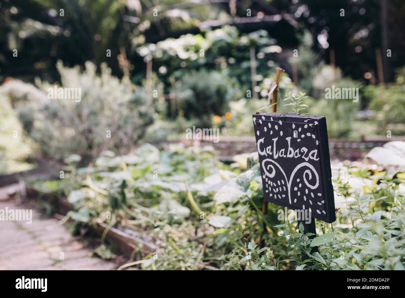 Chalkboard Sign For Pumpkin In A Vegetable Urban Garden In Roma District, Mexico City, Mexico Stock Photo