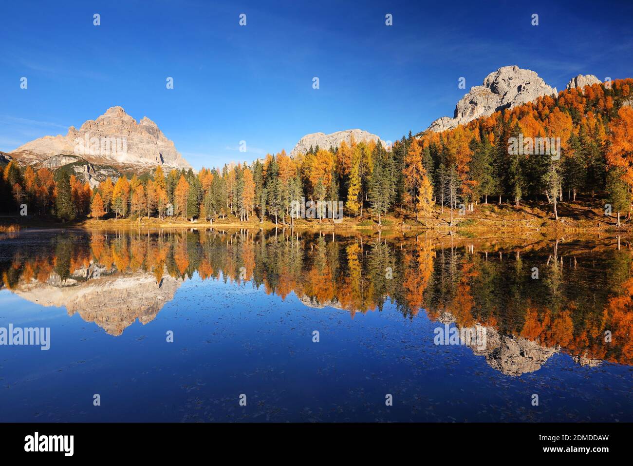 Reflection Of Trees In Lake Against Blue Sky Stock Photo