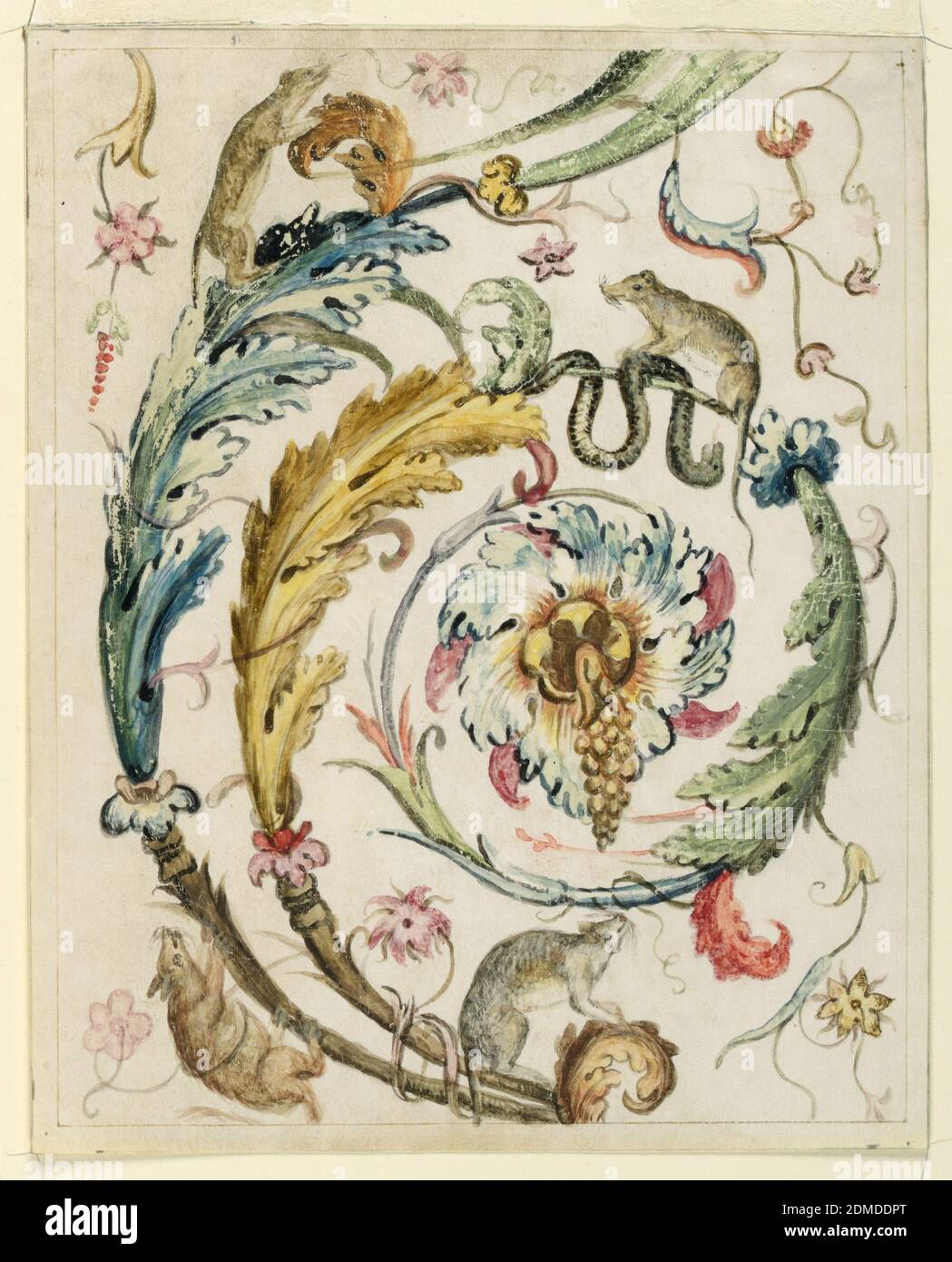 Foliate Arabesque with Rodents, Henri Salembier, French, 1753 - 1820, Brush, water color, gouache on vellum, Single scroll of a foliate arabesque, with four rodents shown climbing over the vines, and a snake curled about a tendril, beneath one rat. Copied motif from Raphael's Vatican loggia., Italy, 1650–1700, ornament, Drawing Stock Photo