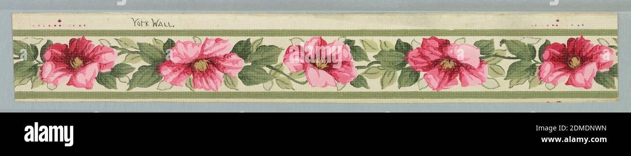 Border, York Wall Paper Company, 1895, Machine-printed paper, Narrow green  band top and bottom. Design: 'Rose of Sharon.' Flowers alternate, one  facing top of border, the following one the bottom. Occasional leaf
