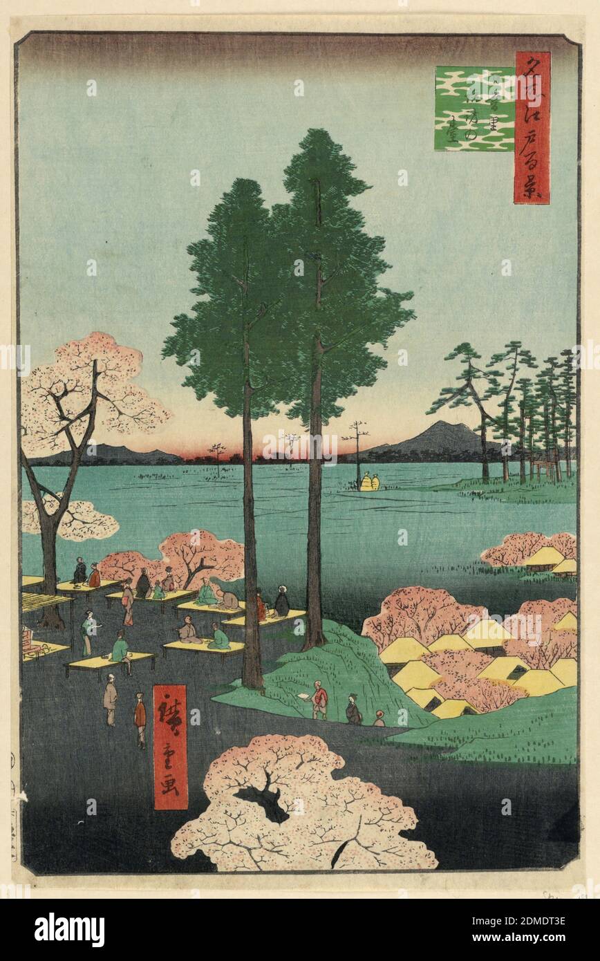 Suwa Bluff, Nippori (Nippori, Suwa-no-dai) From the Series One Hundred Famous views of Edo, Ando Hiroshige, Japanese, 1797–1858, Woodblock print in colored ink on paper, Located in the middle of people picnicking on blankets, and viewing the cherry blossoms, are two giant cedar trees. Underneath the treetop on the right side is a silhouette of Mt. Tsukuba. This scene of leisure contains various bold colors contrasted with subtle gradations., Japan, 1856, landscapes, Woodblock Print, Woodblock Print Stock Photo