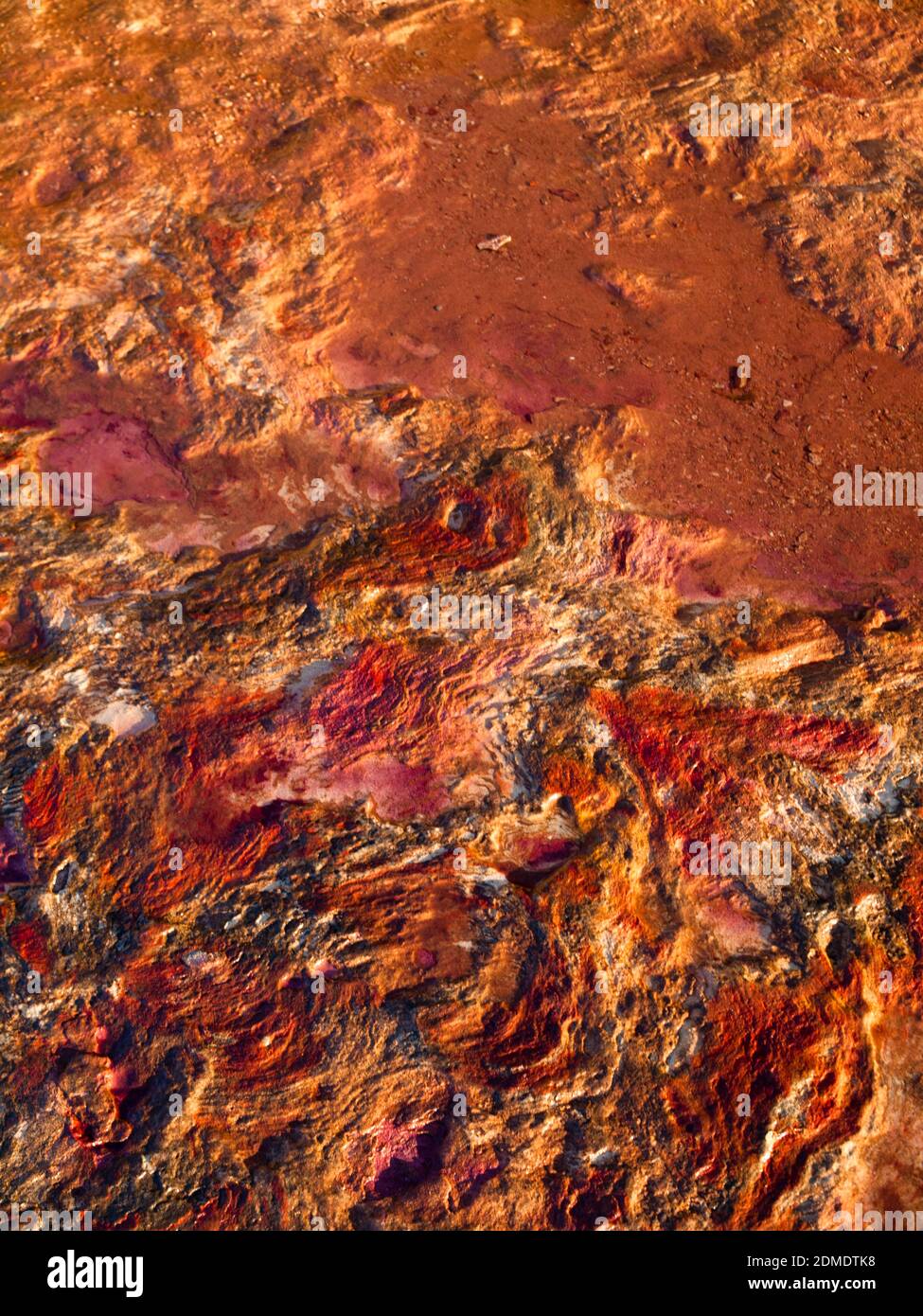 Closeup of orange sandstone cliff, Gantheaume Point, Broome, Western Australia Stock Photo