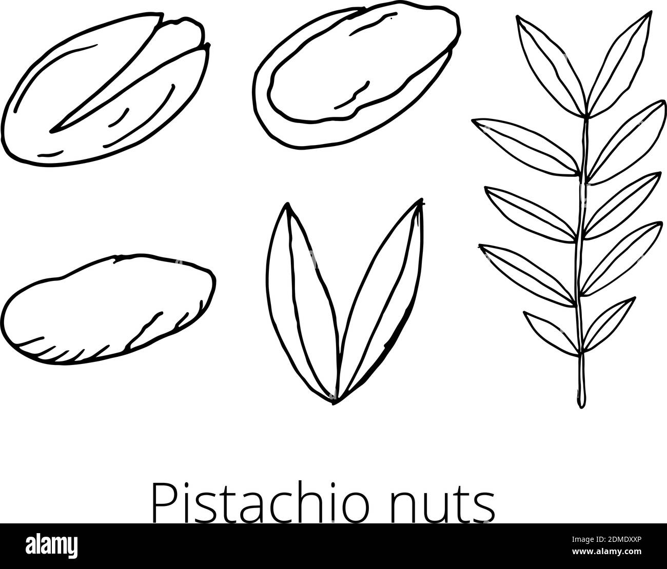 Set of nuts on a white isolated background. Pistachios, whole and peeled, the leaves. Hand-drawn doodles. Vector illustration Stock Vector