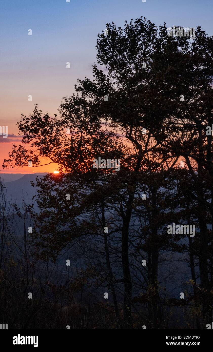 Autumn Sunset Tree Silhouette Stock Photo - Alamy