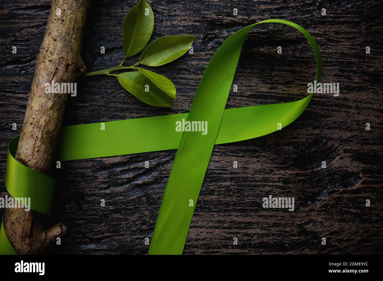 Top view of lime green color ribbon with growing tree on dark background. Non-hodgkin lymphoma cancer, lyme disease, muscular dystrophy and postpartum Stock Photo