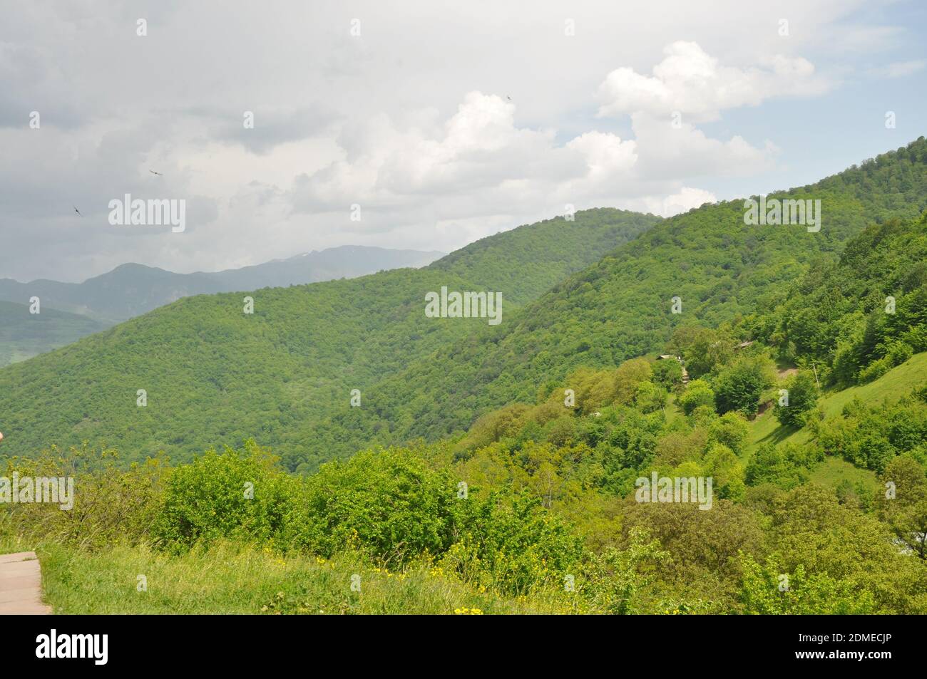 Green forest hills in Tavush province Armeni Stock Photo