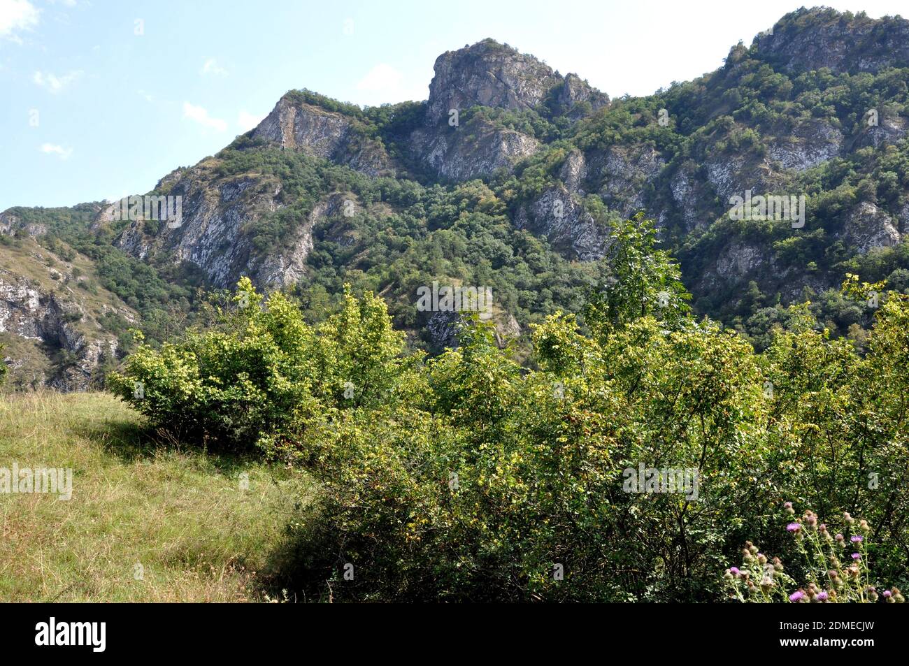 Green forest hills in Tavush province Armenia Stock Photo
