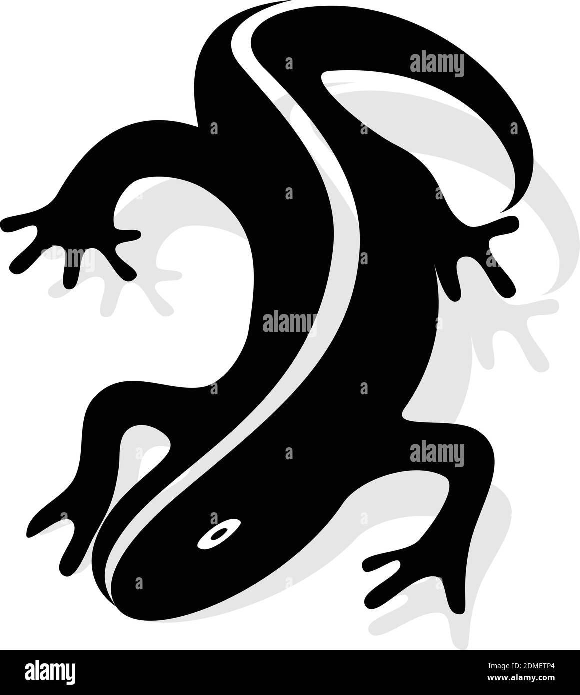 Vector design Salamander. Silhouette of salamander vector design. Vector illustration, EPS 10 Stock Vector