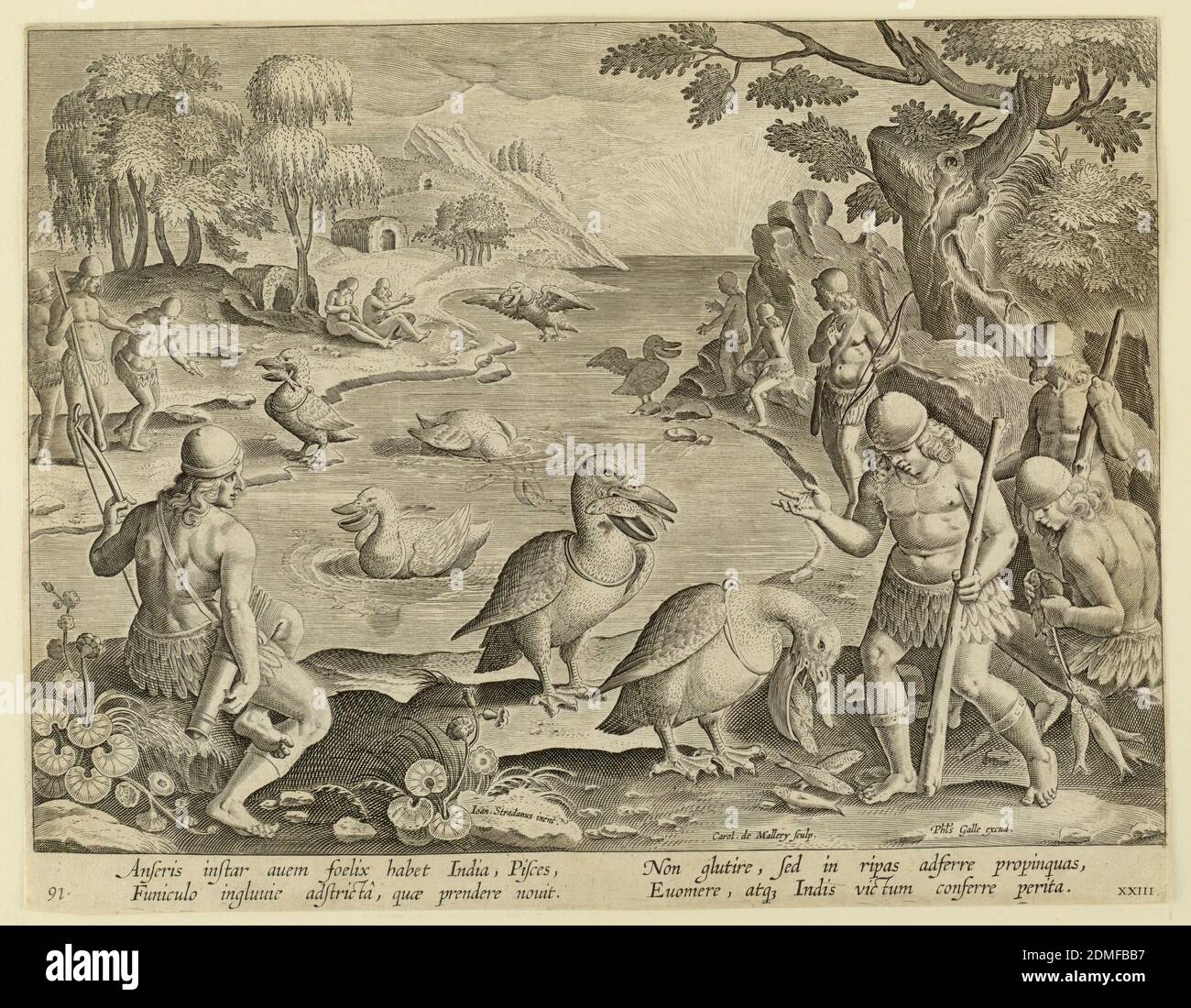 Indians Catching Fish with the Help of Pelicans, plate 23 in the Venationes Ferarum, Avium, Piscium series, Jan van der Straet, called Stradanus, Flemish, 1523–1605, Karel van Mallery, Philips Galle, Flemish, 1537 - 1612, engraving on paper, Horizontal rectangle. An inlet, with men standing on shore on both sides, watching the pelicans gather fish in their pouches. Each bird bears a ring about its throat to prevent it from swallowing its catch. In the foreground, right, a pelican dislodges the fish before its master. Near left center: 'Ioan. Stradanus invent.' Stock Photo