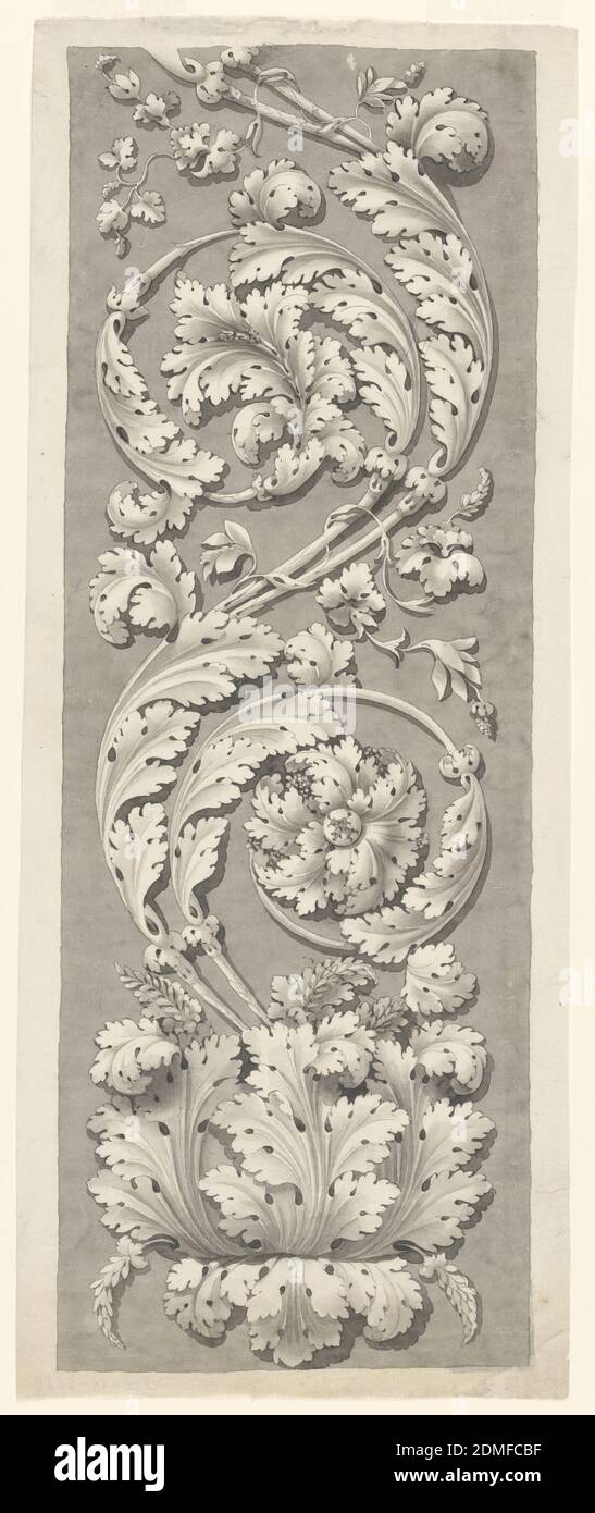 Acanthus Ornament, Pen and gray ink, gray wash Support: white laid paper,  Rome, Italy, Italy, 1750–1800, ornament, Drawing Stock Photo - Alamy