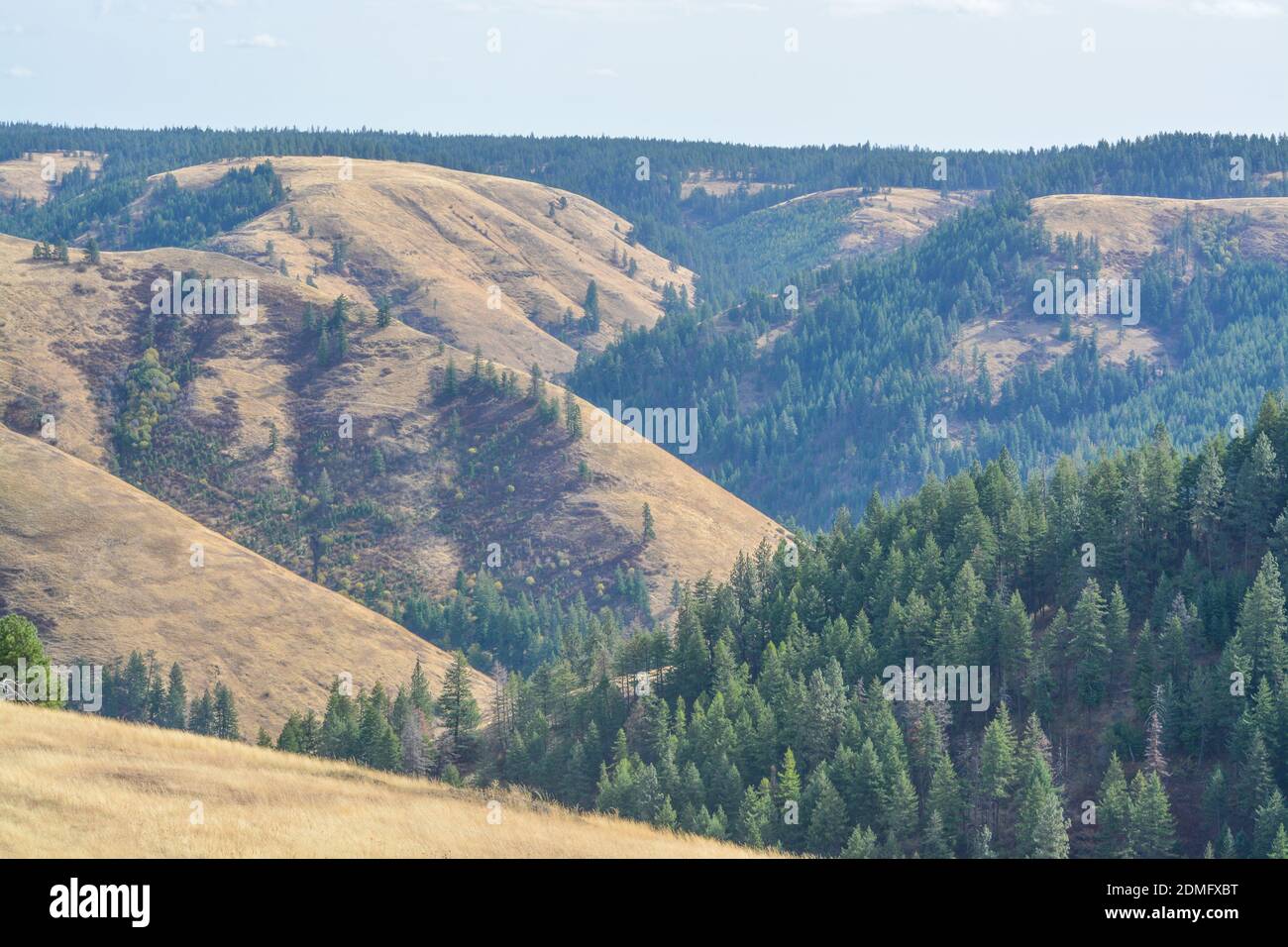 The landscape of the Blue Mountains in northeastern Oregon Stock Photo