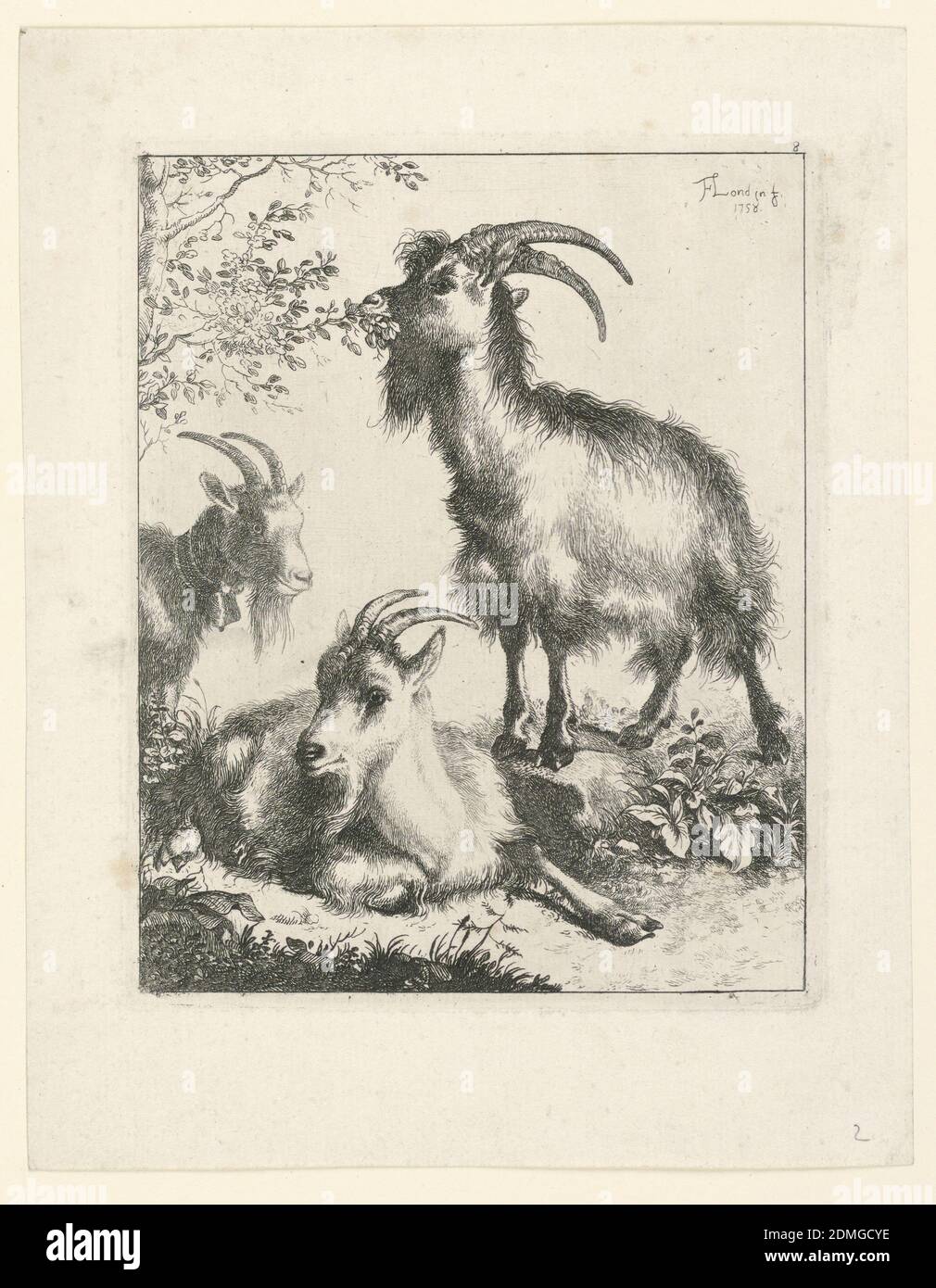 https://c8.alamy.com/comp/2DMGCYE/three-goats-francesco-londonio-italian-1723-1783-engraving-on-paper-a-goat-stands-on-a-rock-and-nibbles-at-a-branch-another-one-lies-upon-the-ground-and-a-third-is-seen-at-the-left-milan-italy-1758-print-2DMGCYE.jpg