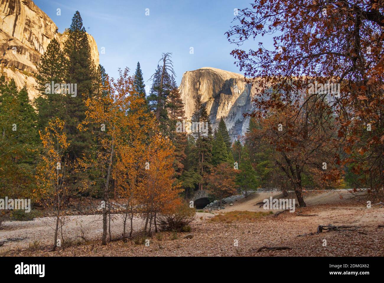 Scenic fall colors in Yosemite Valley with a meadow and trees Stock ...
