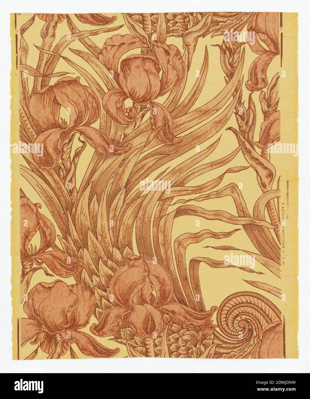 Sidewall, F. Arthur, Machine-printed, Iris in shades of brown and peach over yellow, mica ground., England, 1875–99, Wallcoverings, Sidewall Stock Photo