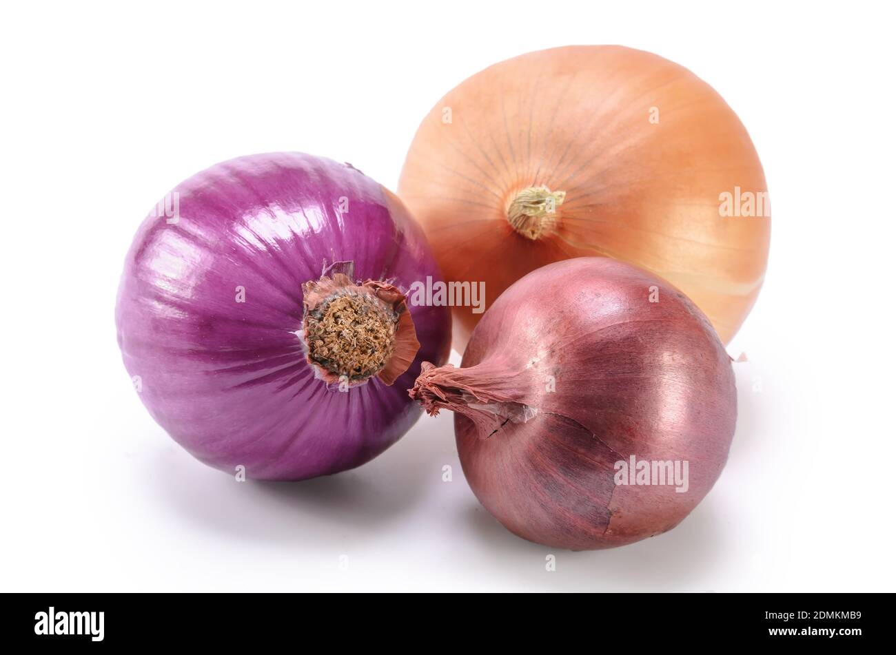 red onion on white background with soft shadow Stock Photo