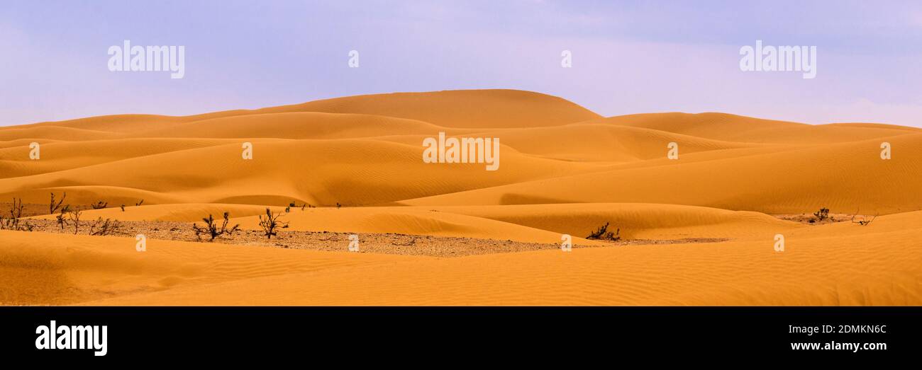 Bend of the ridge of a sand dune in the desert Stock Photo - Alamy