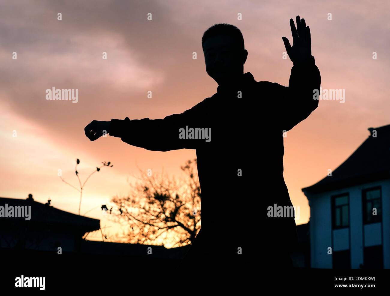 Chen village Taiji - Chenjiagou Tai Chi Austria