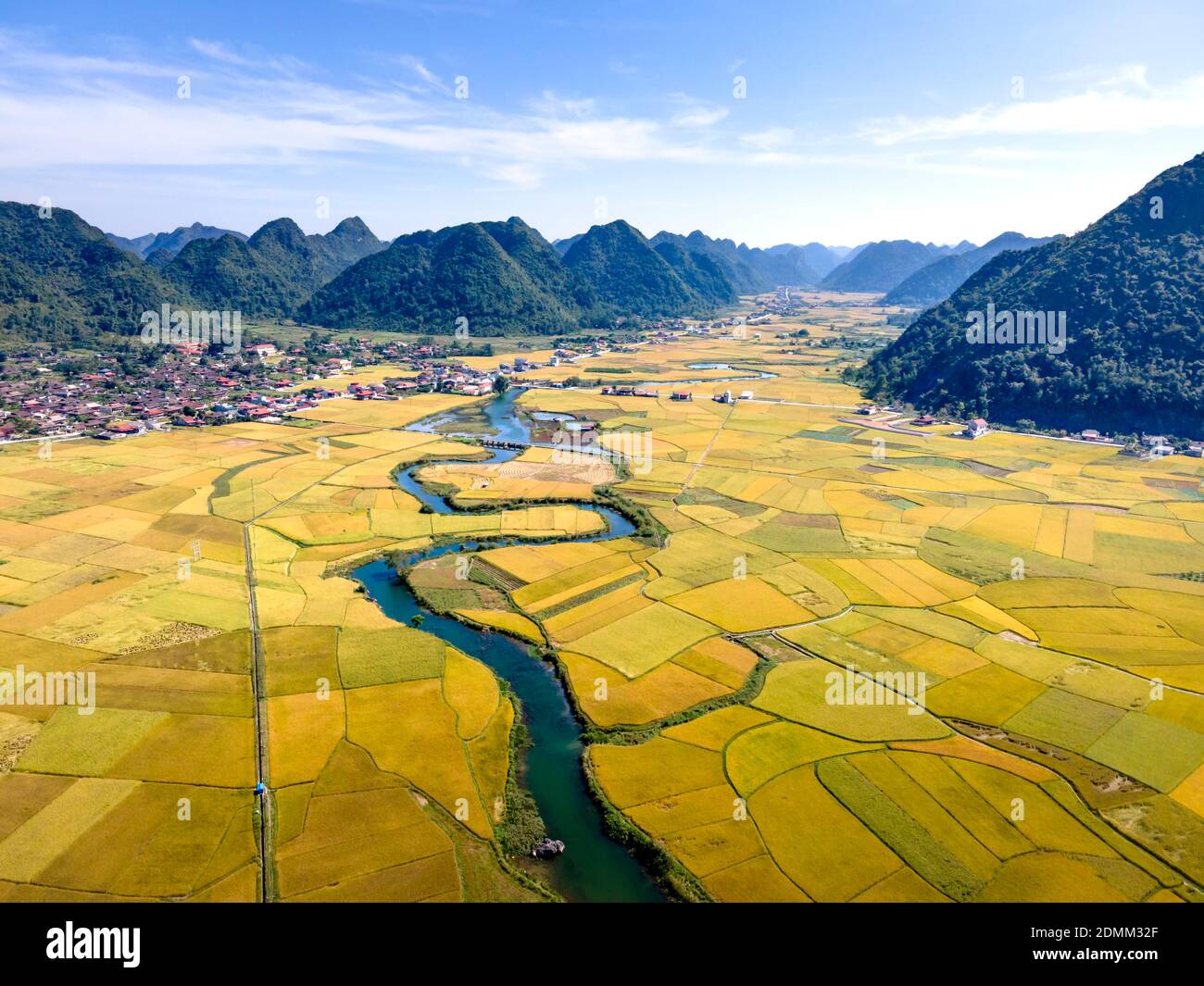 Bac Son Valley With Yellow Rice Fields In Harvest Season In Bac Son bac-son-valley-with-yellow-rice-fields-in-harvest-season-in-bac-son