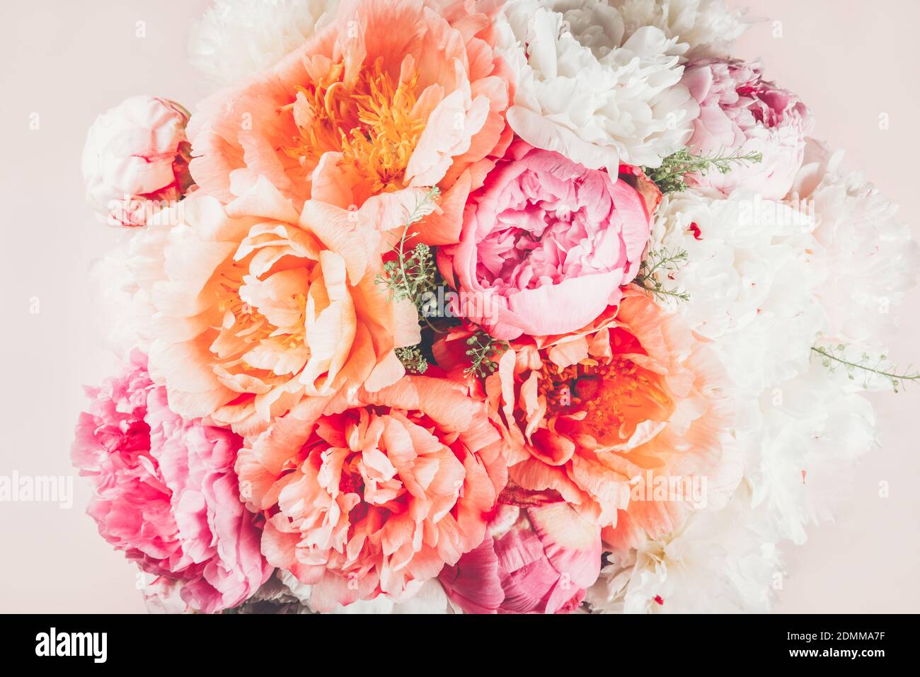 Fresh bunch of pink peonies Stock Photo - Alamy