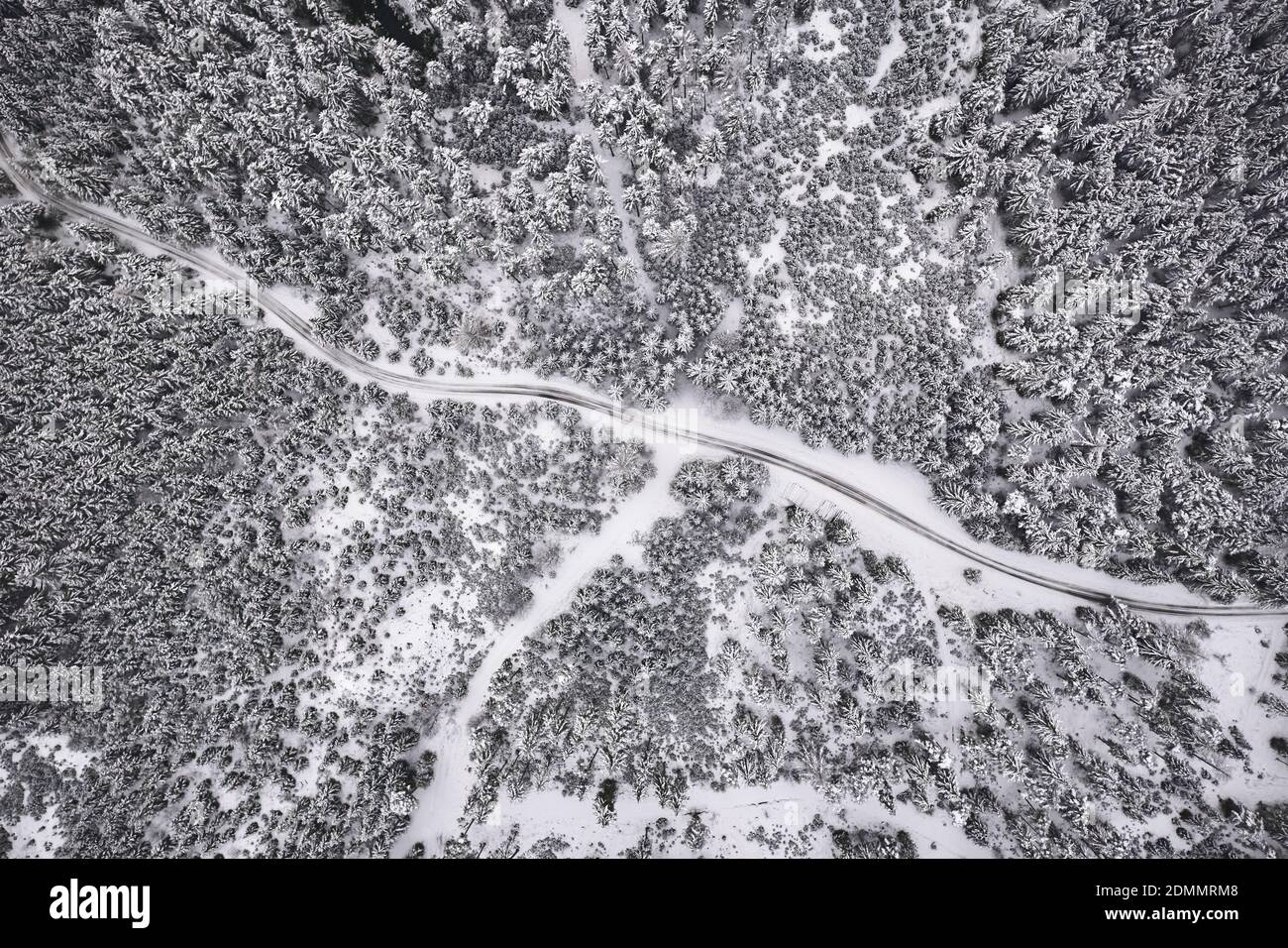 Aerial view of a snowy pine forest and road , hiking path Stock Photo ...