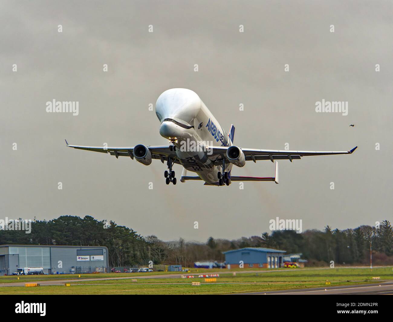 Newquay, Cornwall, UK,14th December 2020. Unusual whale shaped A700 Airbus industry aircraft visits Newquay airport for a series of flight crew traini Stock Photo