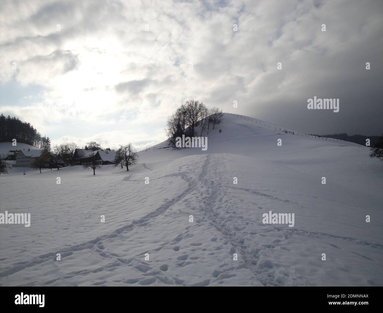 A hiking way in winter near Walzenhausen, Appenzell Ausserrhoden, Switzerland. Backlit shooting. Stock Photo