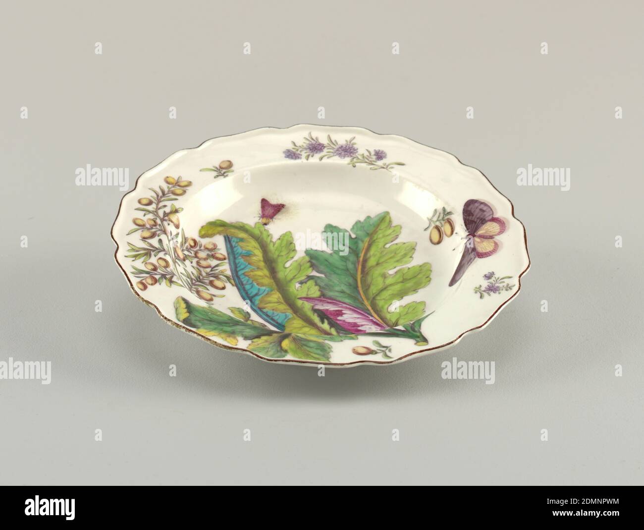 Hans Sloane' Plate, Chelsea Porcelain Manufactory, English, established ca. 1743/45, Georg Dionysius Ehret, German, 1708 - 1770, soft paste porcelain, vitreous enamel, A plate with a wavy, brown-edged rim painted with a branch of bocconia/parrot weed (Bocconia frutescens) leaves, various sprigs, a caterpillar, and two winged insects., England, 1753–1756, ceramics, Decorative Arts, plate, plate Stock Photo