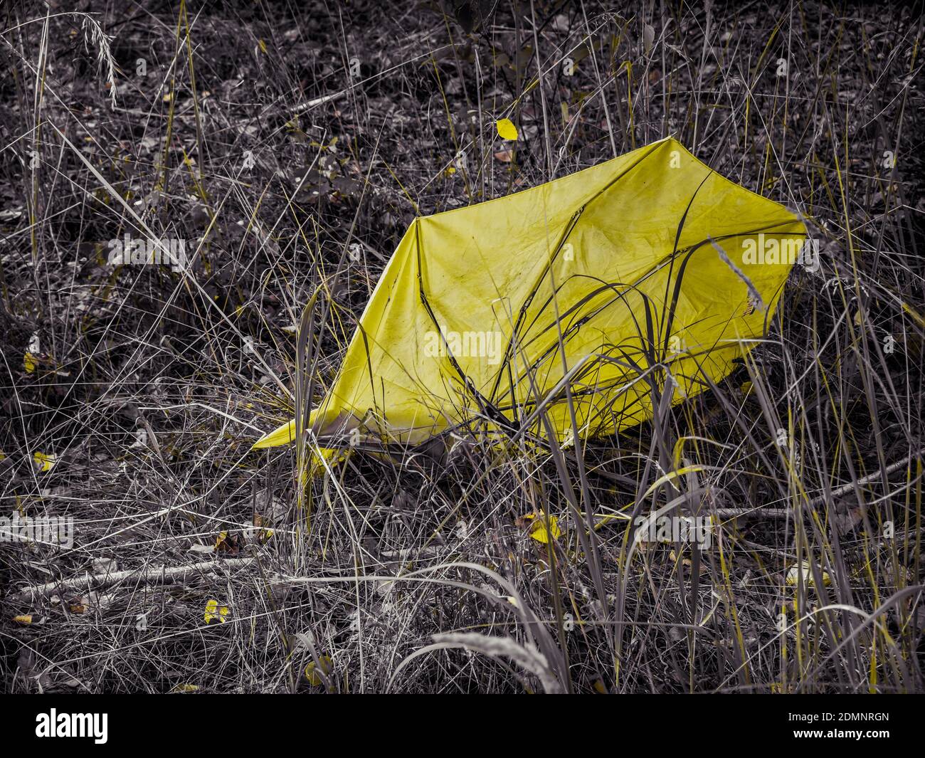 broken yellow umbrella on the meadow Stock Photo