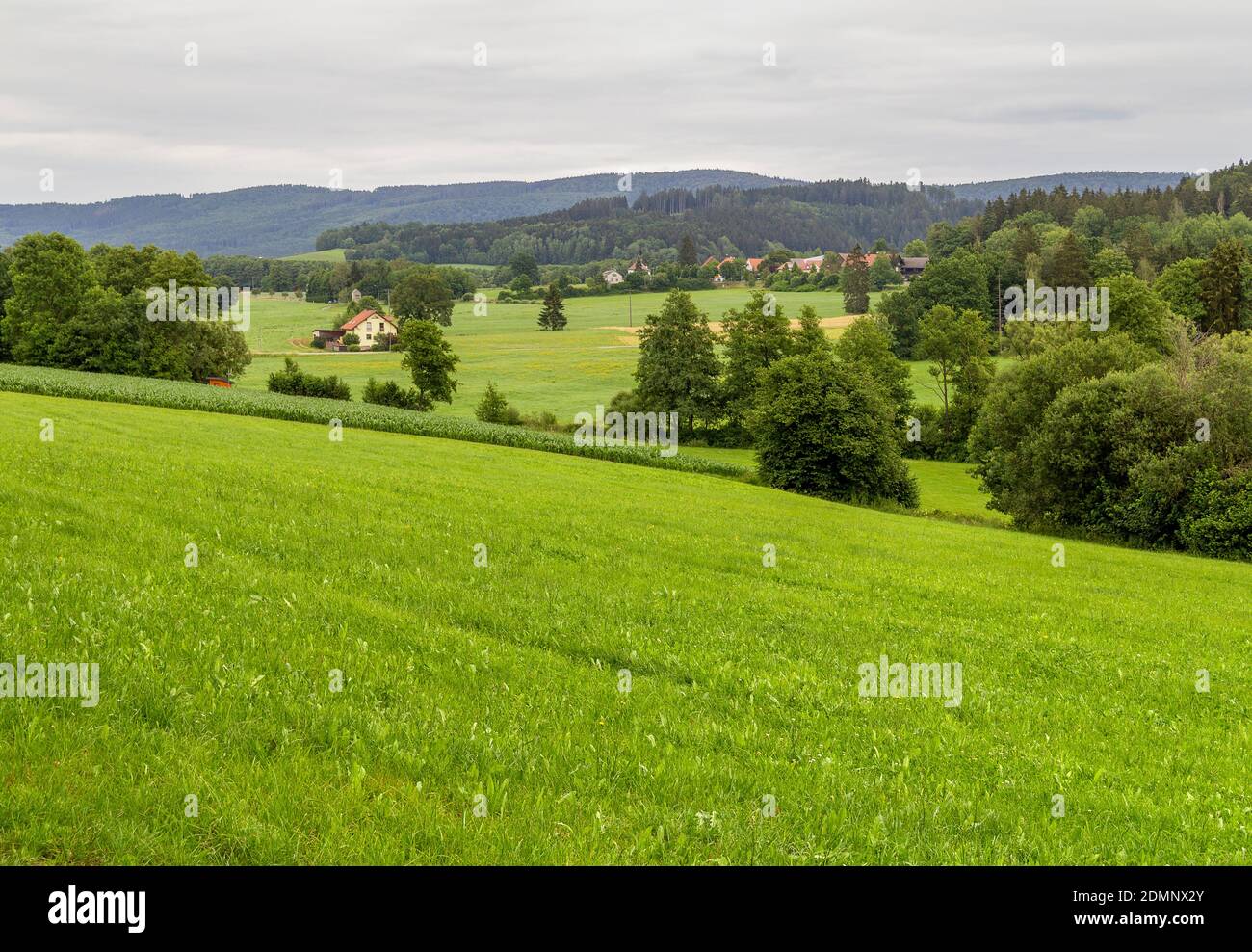 idyllic scenery around Wiesenfelden in the Bavarian Forest at summer time Stock Photo