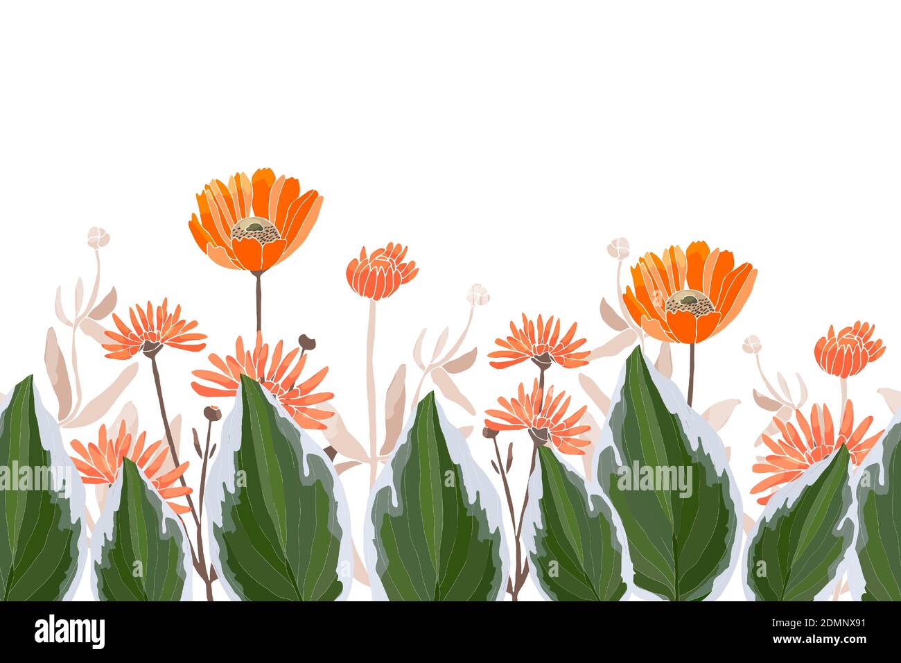 Vector floral seamless border, pattern. Spring, summer flowers. Stock Vector