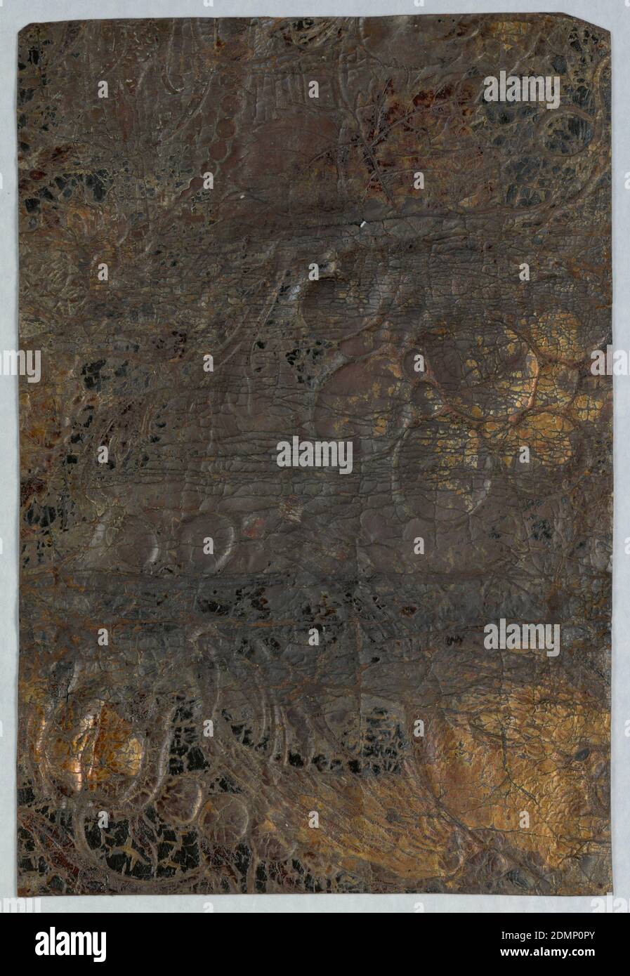 Sidewall, Leather, stamped, painted, silvered, Portion, lacking much of its finished surface, showing bird, tulips and grapes., Holland, ca. 1700, Wallcoverings, Sidewall Stock Photo