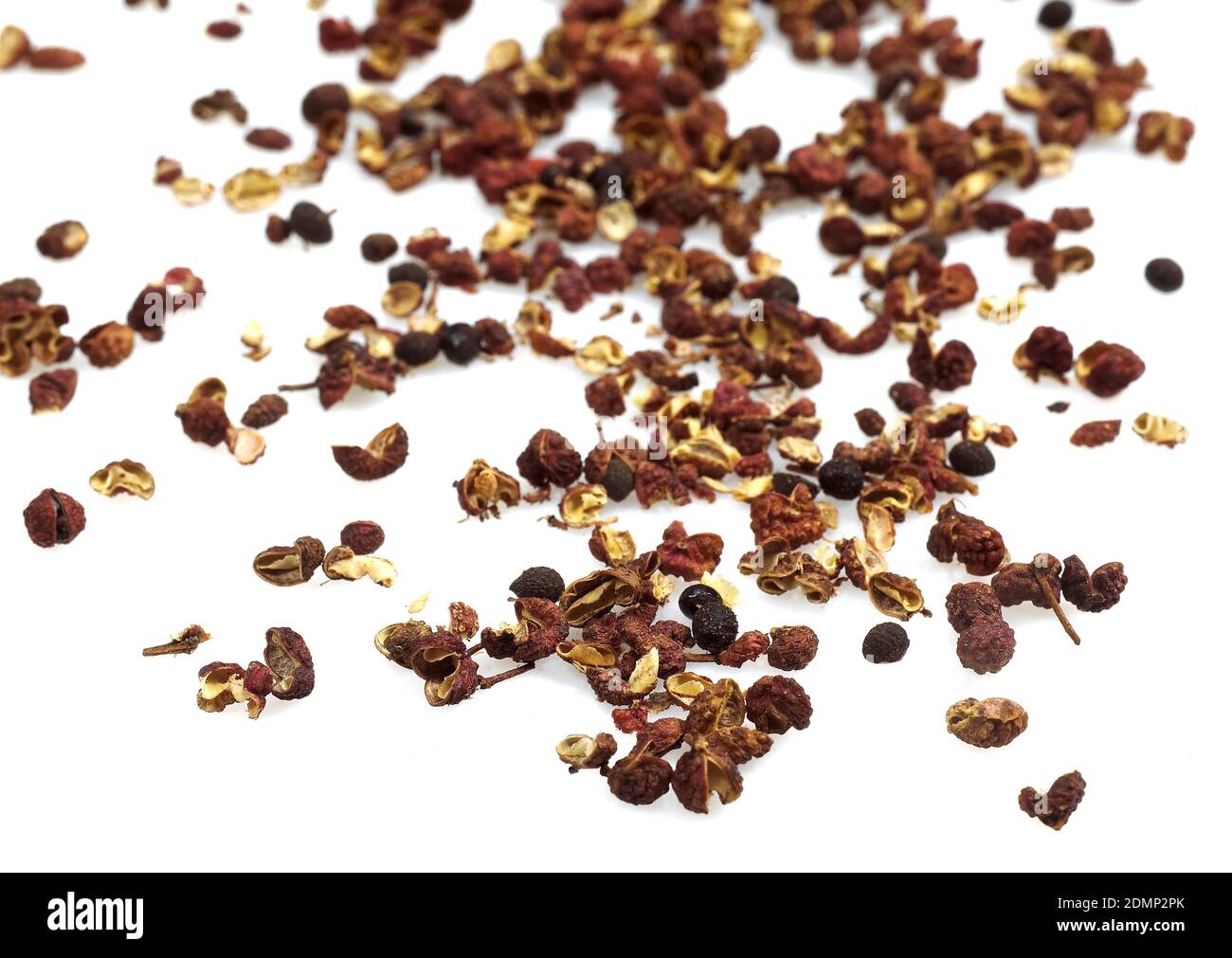 Czechuan or Sichuan Pepper, zanthoxylum simulans against White Background Stock Photo